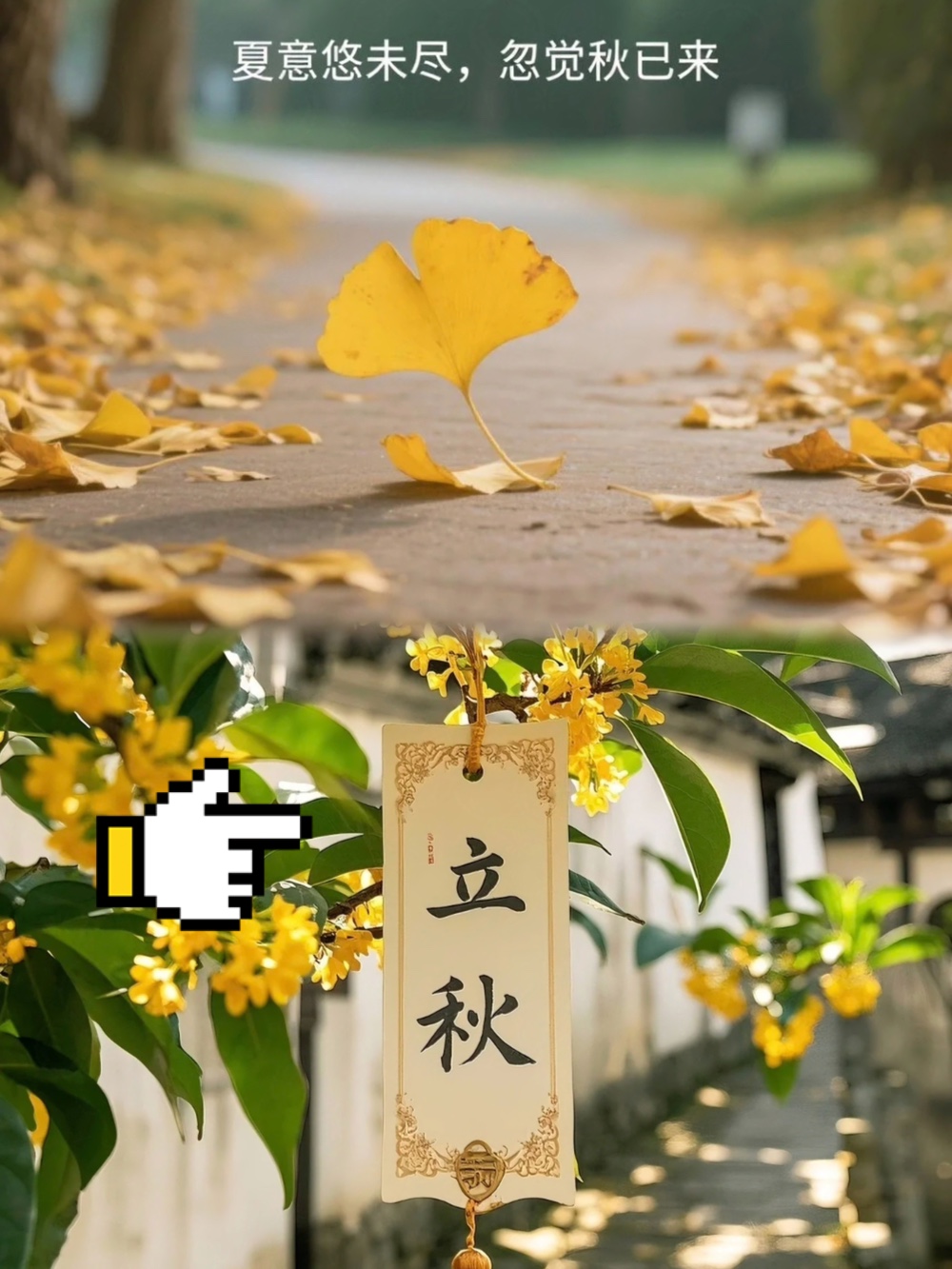 娱乐生活 第69页